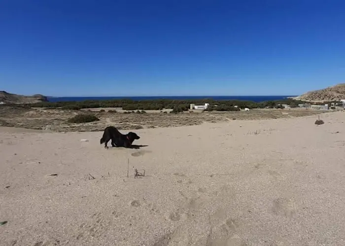 La Escondida